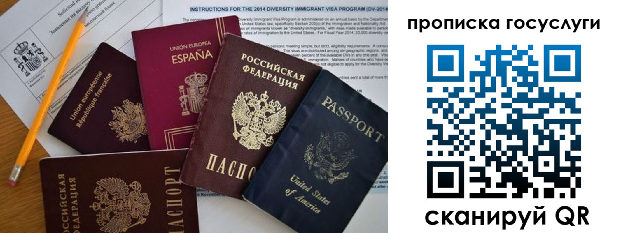 прописка гарантия в Светлогорске