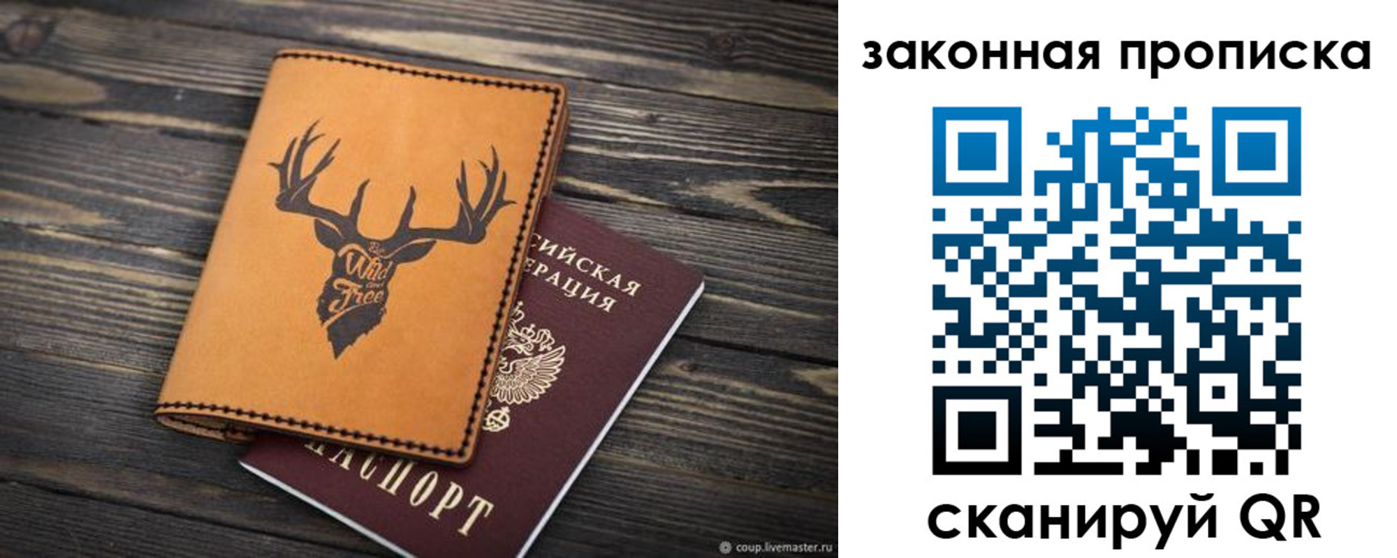 прописка для школы в Светлогорске