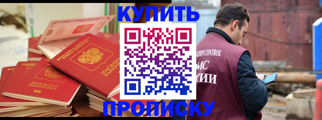пропишу в квартире в Светлогорске